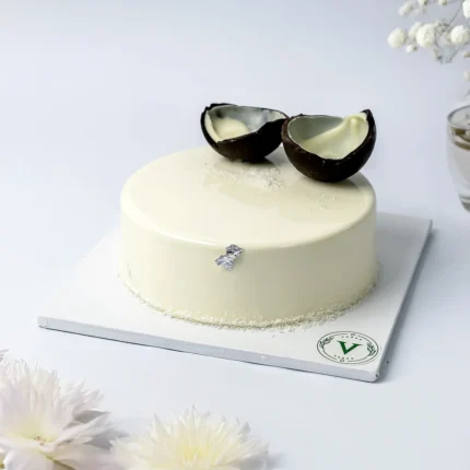 Chocolate Choconut Cake